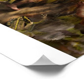 Poster de la fée d'eau (Coin)