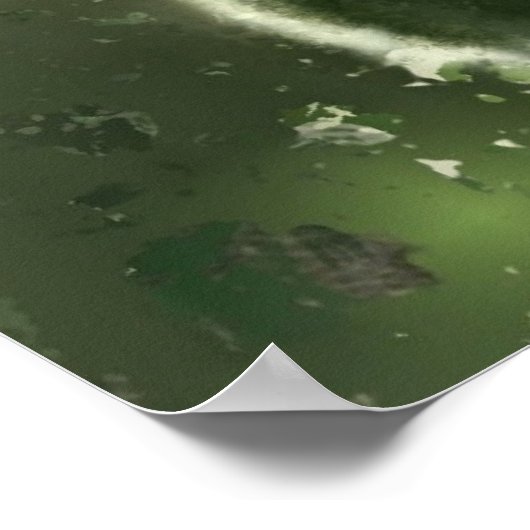 Poster de la femme Calla Lily (Coin)