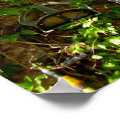 Poster de la fenêtre et des navettes de la ferme f (Coin)