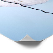 Poster de la Fête des Cheveux (Coin)