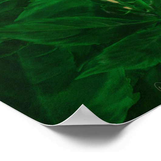 Poster de la feuille (Coin)