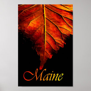 Poster de la feuille d'automne Poster de la feui