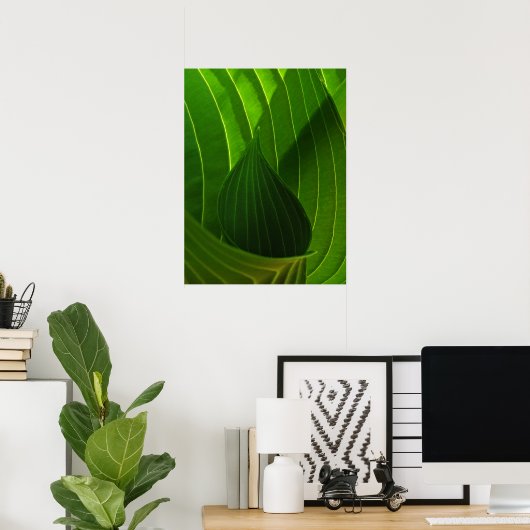 Poster de la feuille de Hosta vert printemps Impri (Bureau à domicile)