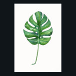 Poster de la feuille tropicale (Monstera) aquarell<br><div class="desc">Poster de la feuille tropicale (Monstera) aquarelle.</div>