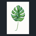 Poster de la feuille tropicale (Monstera) aquarell<br><div class="desc">Poster de la feuille tropicale (Monstera) aquarelle.</div>