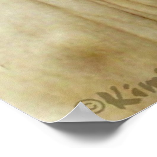 Poster de la Fière du Texas (Coin)