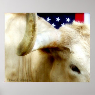 Poster de la Fière du Texas