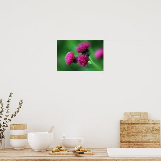 Poster de la fleur de chardon (Cuisine)
