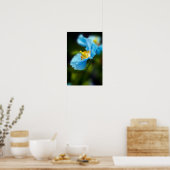 Poster de la fleur de crapaud bleu (Cuisine)
