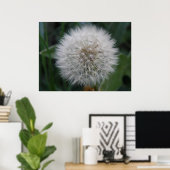 Poster de la fleur de Dandelion (Bureau à domicile)