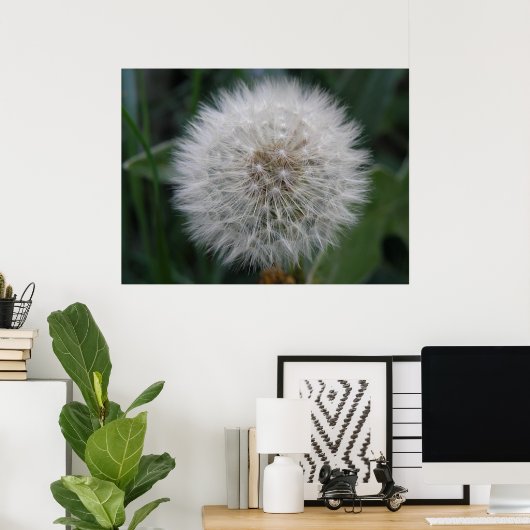 Poster de la fleur de Dandelion (Bureau à domicile)