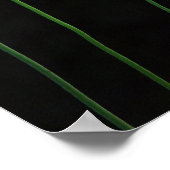 Poster de la fleur d'Orange (Coin)