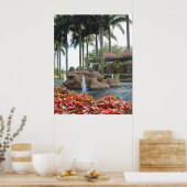 POSTER DE LA FONTAINE DE LA FLORIDE DU SUD (Cuisine)