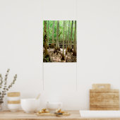 Poster de la forêt de Cypress Arbres du marais (Cuisine)