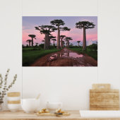 Poster de la forêt de Grandidier Baobab (Cuisine)