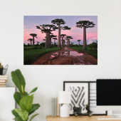 Poster de la forêt de Grandidier Baobab (Bureau à domicile)