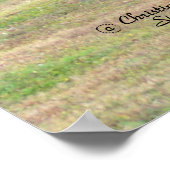 Poster de la forêt de gumbo de curvy (Coin)