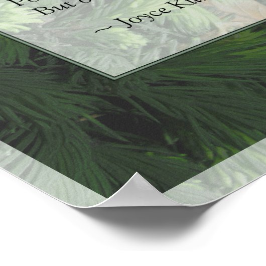 Poster de la forêt de pins Imprimer (Coin)