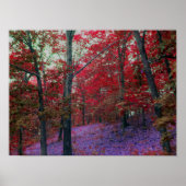 Poster de la forêt de Red Tree (Devant)