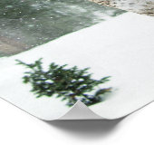 Poster de la forêt des Princes de Fée et du Leopar (Coin)