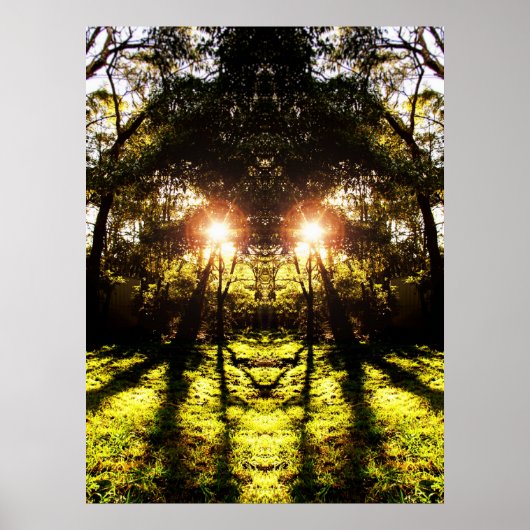 Poster de la forêt DMT 'AURUS (Devant)