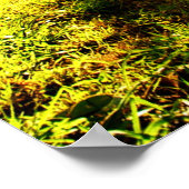 Poster de la forêt DMT 'AURUS (Coin)