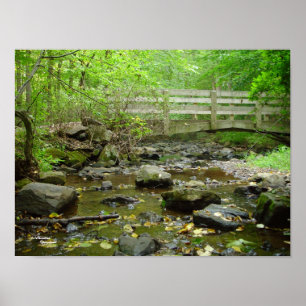 Poster de la forêt du pont Creek