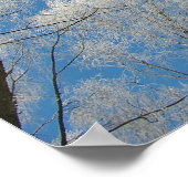 Poster de la forêt gelée (Coin)