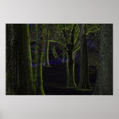 Poster de la Forêt Noire (Devant)