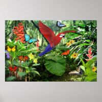 Poster de la forêt tropicale