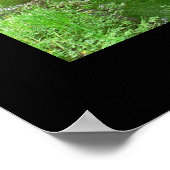 Poster de la forêt tropicale de Hoh Valley (ruisse (Coin)