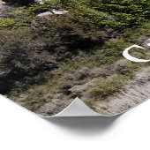 Poster de la formation de la ville de Rocks Idaho  (Coin)