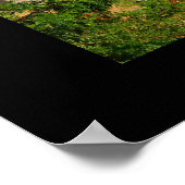 Poster de la forteresse de Carcassonne (Coin)