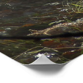 Poster de la fosse matinale Woodland (Coin)