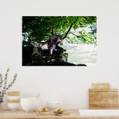 Poster de la fracture de la Grande Rivière (Cuisine)