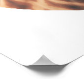 Poster de la girafe de bulle (Coin)