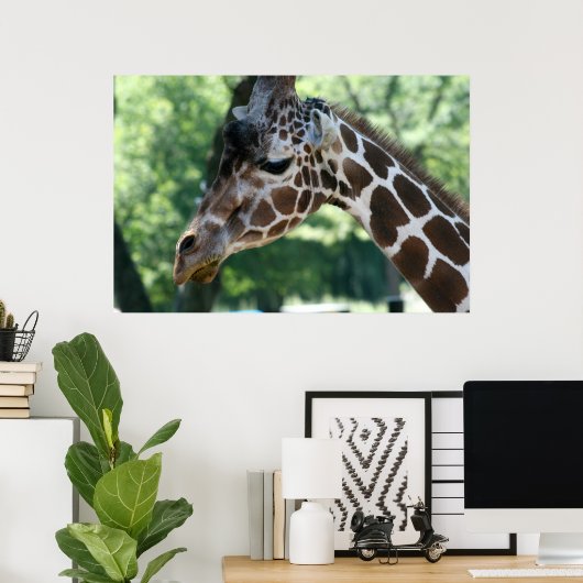 Poster de la Giraffe (Bureau à domicile)