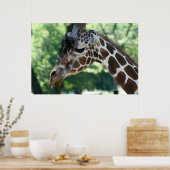 Poster de la Giraffe (Cuisine)