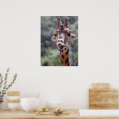 Poster de la Giraffe (Cuisine)