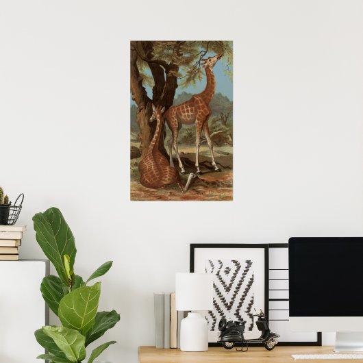 Poster de la Giraffe africaine (Bureau à domicile)