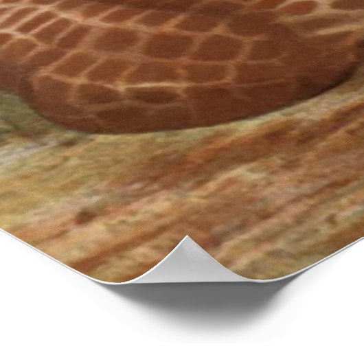 Poster de la Giraffe africaine (Coin)