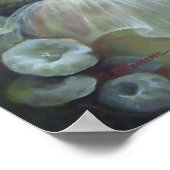 Poster de la gloire du matin (Coin)