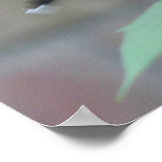 Poster de la gorge de rubis (Coin)