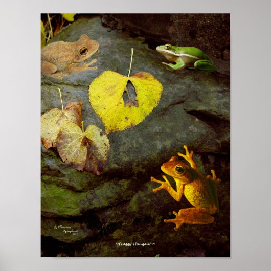 Poster de la grenouille (Devant)