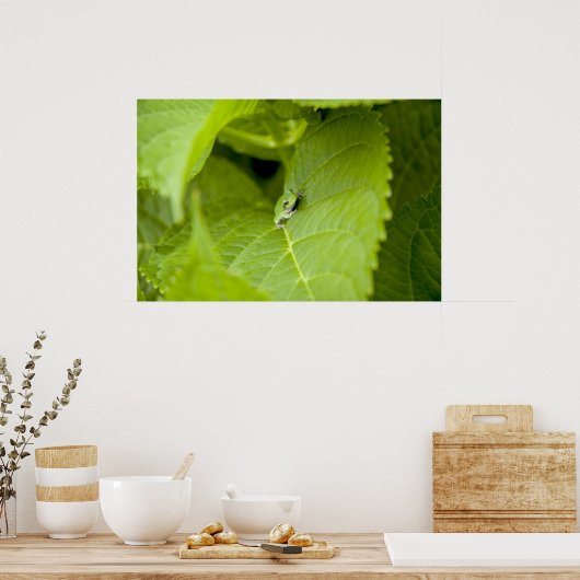Poster de la grenouille (Cuisine)