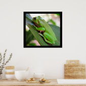 Poster de la grenouille d'arbre vert américain (Cuisine)