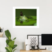 Poster de la grenouille et du papillon (Bureau à domicile)