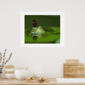 Poster de la grenouille et du papillon (Cuisine)