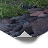 Poster de la grenouille seulement Imprimer (Coin)