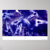 Poster de la Guitare Sky (Devant)